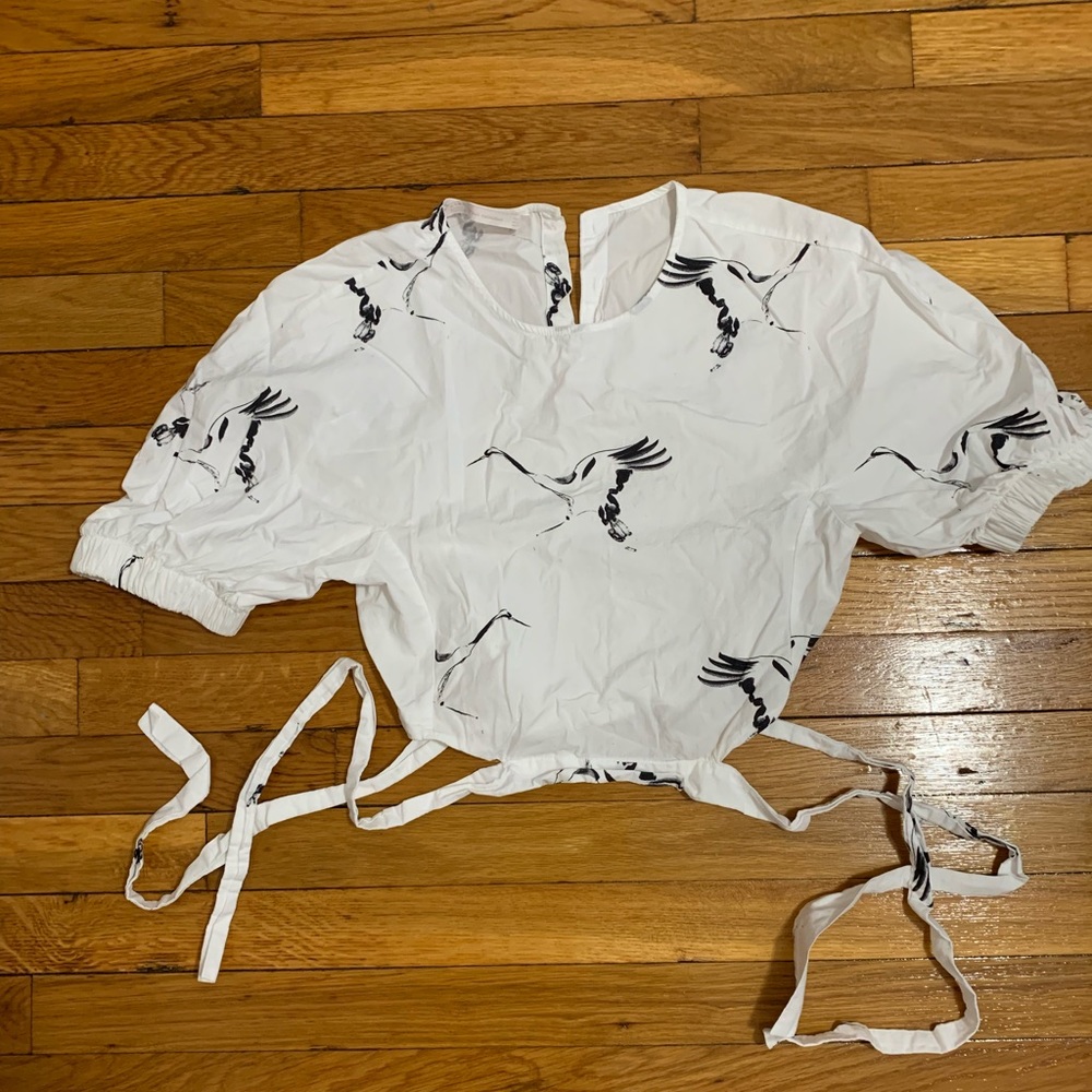 ZARA Cropped Printed Top